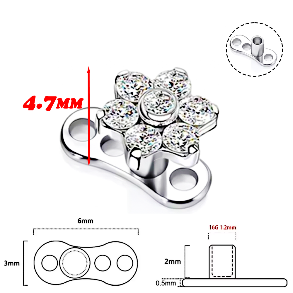 F136 Titanium Alloy High-Quali - Body Piercing Quality Jewelry ulasan dan harga