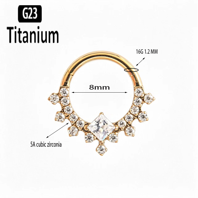 G23 Titanium High Quality Plan - Body Piercing Quality Jewelry ulasan dan harga